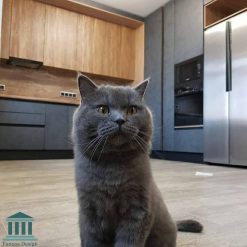 کابینت آشپزخانه ترکیبی ام دی اف و پی وی سی کد 0216