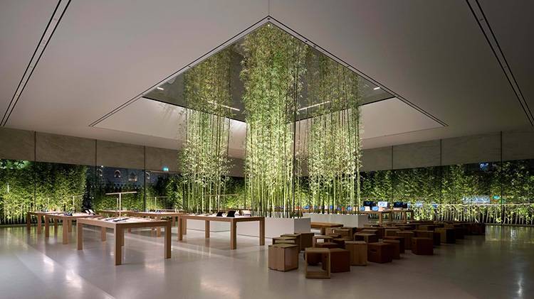 طراحی و اجرای دکوراسیون موبایل فروشی 28 Feng Shui in mobile decoration